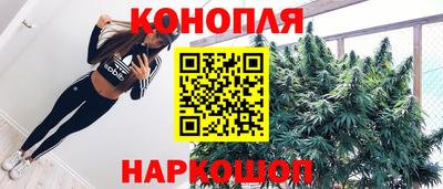 крисы Тулун