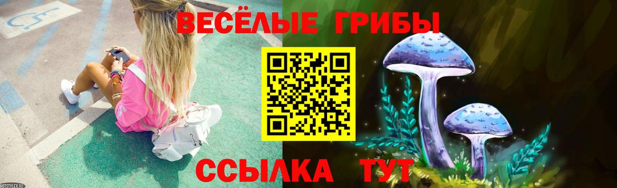 Кумертау  Галлюциногенные грибы прущие грибы  Псилоцибиновые грибы MAGIC MUSHROOMS  Вход с VPN 
